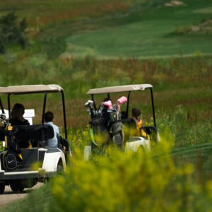Rosetown Golf Course Carts